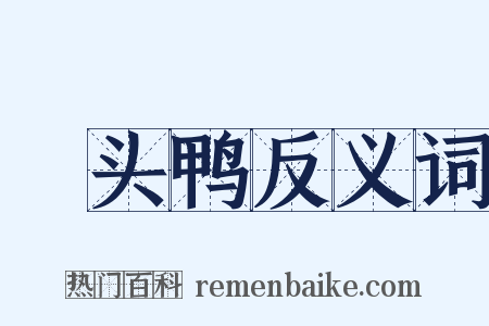 緑头鸭反义词是什么意思的图片